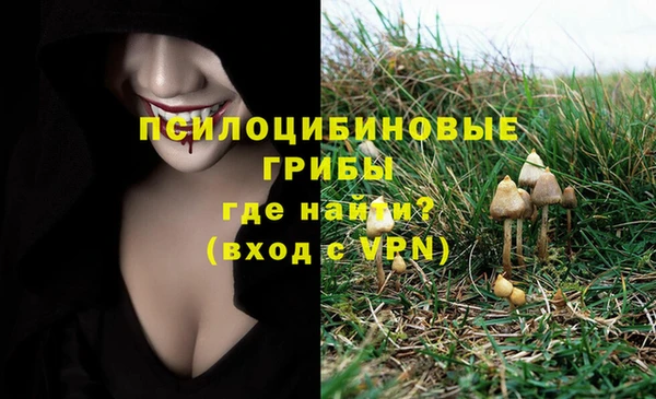 MESCALINE Богданович